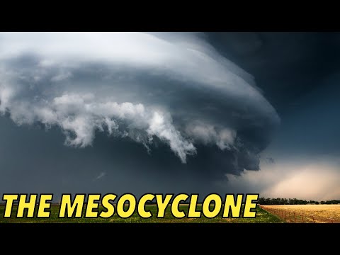 The Mesocyclone: The Beating Heart of a Supercell