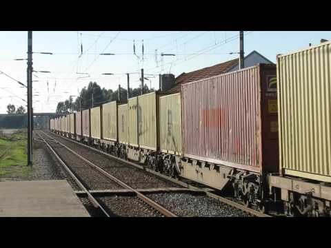 CP 5627 | 81832 | Pegões