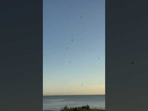 Playa Pascual San José Uruguay