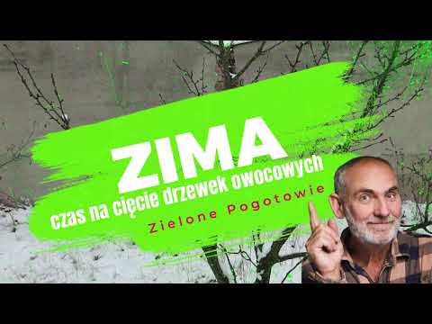 Zimowe cięcie śliwki
