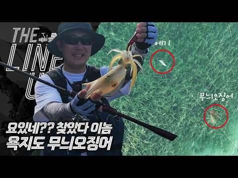 [더라인업] 요있네?? 찾았다 이놈!! 첨단과학의 힘을 ...
