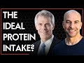 224 ‒ Dietary protein: amount needed, ideal timing, quality, and more | Don Layman, Ph.D.