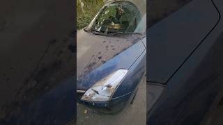 Download lagu dirty Baleno come for washing #shorts #shortsfeed #viral #carwash mp3