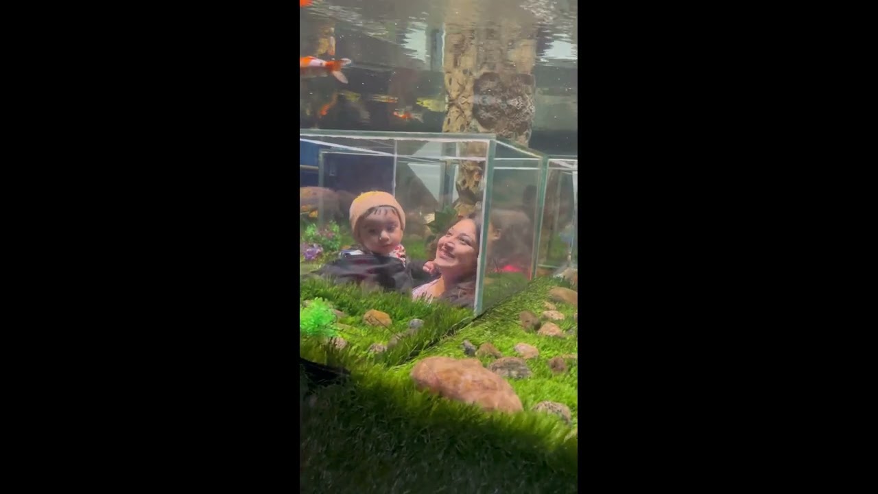 Things to do with your Kid in Udaipur| Udaipur To Do's|Must Do in Udaipur|Toddler Mom|TeacherPreneur