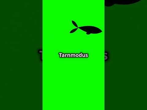 Du wirst staunen: Versteckte Talente des Barschs! Unglaubliche Fakten! #tiere #erstaunlich #fakten