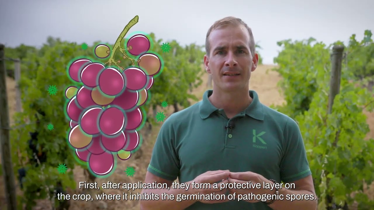 Video preview poster