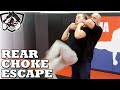 How To Escape A Standing Rear Choke W Bas Rutten
