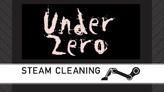 Steam Cleaning - Under Zero