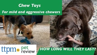 Testing Chew Toys for Dogs That Are Aggressive Chewers | How