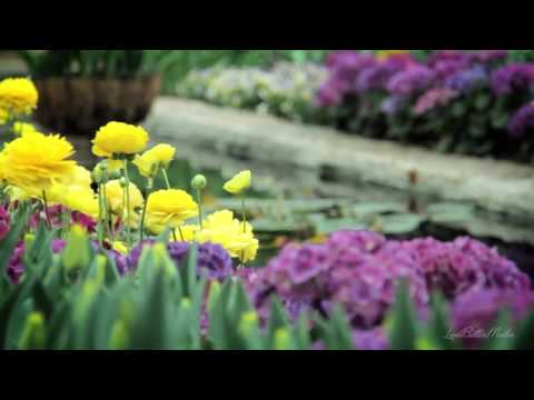download lagu mp3 mp4 دانلود موزیک مراقبه, download lagu دانلود موزیک مراقبه gratis, unduh video klip دانلود موزیک مراقبه