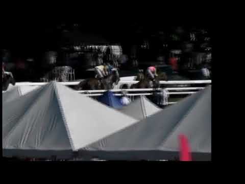 BTC: 2018 Sandy Lane Gold Cup - Race 8