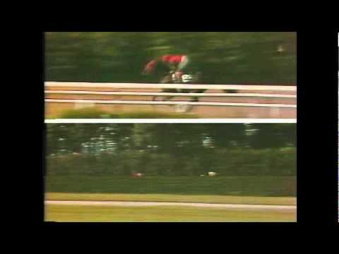 Bold Forbes - Belmont Stakes 1976