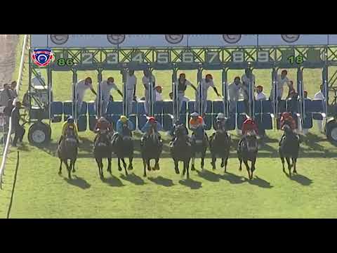 RM8 R6 - Nottingamshire(Jp.vanderMerwe)