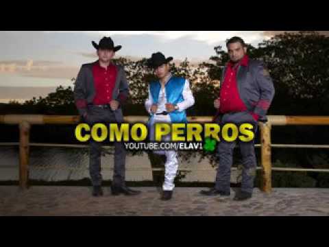 Como Perros Ariel Camacho Y Los Plebes del Rancho