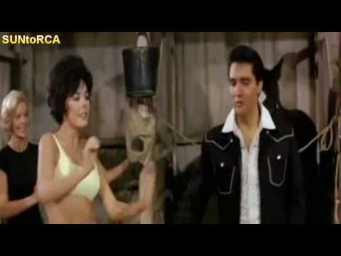 Elvis Presley - Dirty Dirty Feeling (Video Edit)