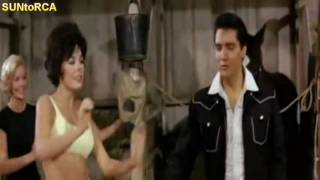 Elvis Presley - Dirty Dirty Feeling (Video Dub Edit)