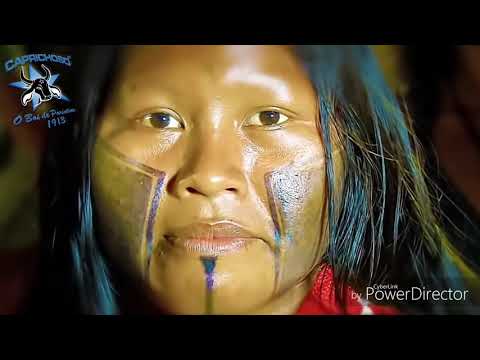 Demo Caprichoso 2019 ☆ Dança dos Tuxauas ☆