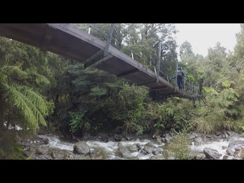 How you can leave the house and stay active during coronavirus lockdown