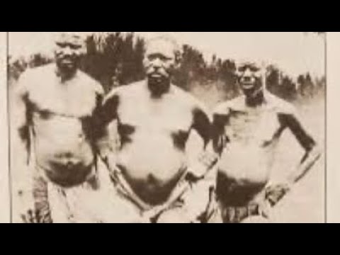 Chief Chingaira Makoni