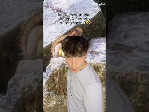 pomme de reinette et pomme d'API