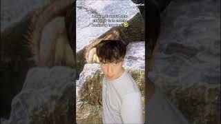 pomme de reinette et pomme d'API