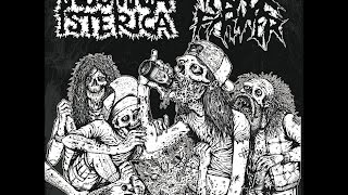 Terror Firmer - Split 7&quot; w/ Insomnia Isterica [2012]