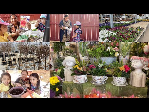 Gardening Vlog | Journey with Naureen | Canada Vlog