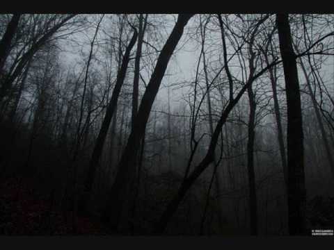 Beautiful Sad Music: Figlio Perduto