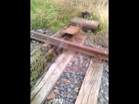 Calea ferată deva Brad