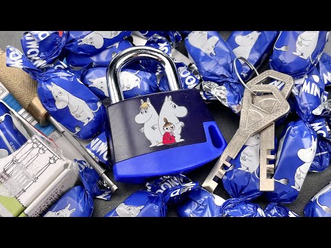 [1461] Is This Novelty Lock Better Than EVERY Master Lock?