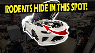 Video 1 trigger image