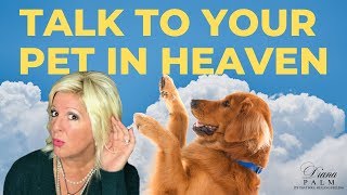 COMMUNICATE WITH YOUR PET AFTER DEATH | PET MEDIUM
