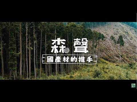 前進伐木現場 八年級生的國產材願景