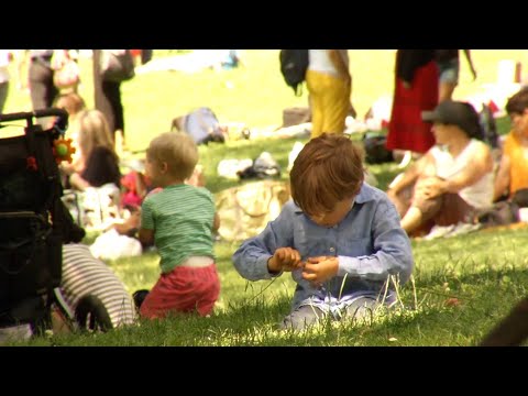 Understanding nature deficit disorder