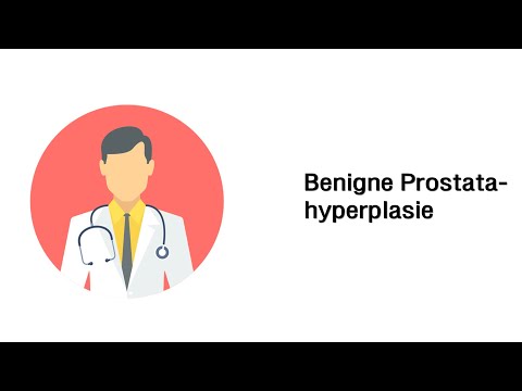 B prostatitis alatt