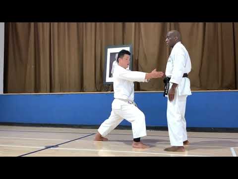 Nemoto Sensei explaining stepping Lung Punch Oi Zuki