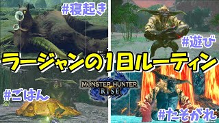 ラージャンの生態観察（1日のルーティン編）【モンハンライズ】