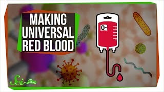 New Bacterial Enzymes Could Revolutionize Blood Donations | SciShow News
