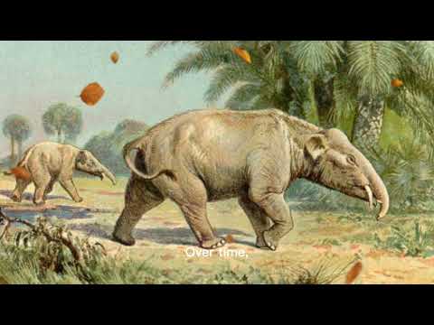🐘 Phiomia – The Ancient Elephant of Egypt! | Prehistoric Giants Explained