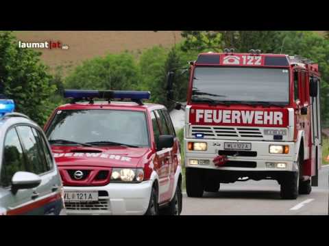 Auto während der Fahrt in Thalheim bei Wels von umstürzenden Baum getroffen