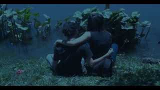 Thunderstorms- SOJA