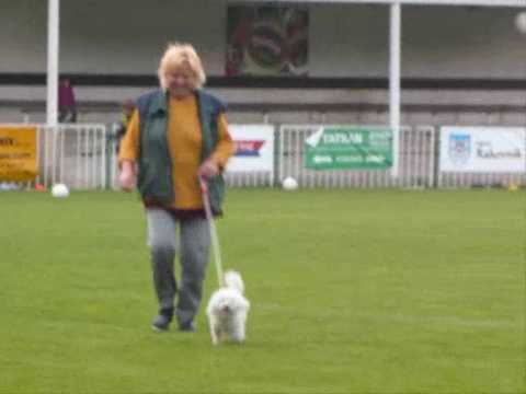 Tatran RAKO Rakovník