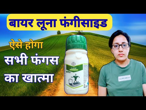 Bayer Luna Experience fungicide | Fluopyram + Tebuconazole | Luna | Systemic Fungicide