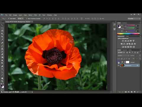 Adjustment Layers Brightness Contrast Levels Curves video thumbnail