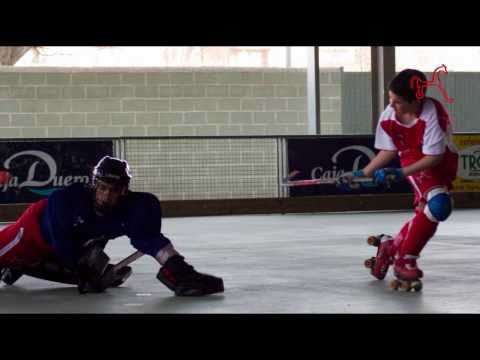 Vettonia Hockey - Fotos 2010-12-13