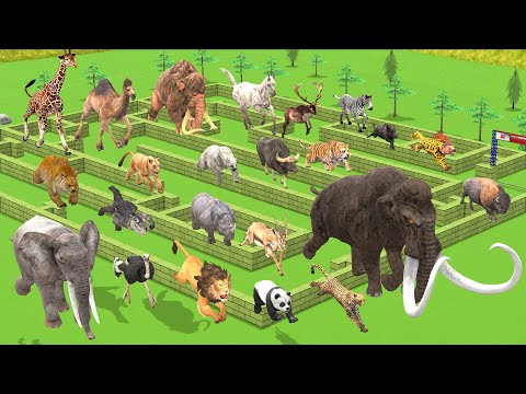 Maze Madness Race 23 Wild Animals, Which is the Fastest Animal? Animal Revolt Battle Simulator