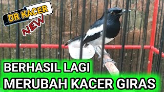 Download lagu BEYOND REASON🔥🔥IN JUST 1 DAY THIS MUSHROOMS HAVE SUBMITTED | TREATMENT FOR A GIRAS MUSHROOMS TO B... mp3 Download lagu BEYOND REASON🔥🔥IN JUST 1 DAY THIS MUSHROOMS HAVE SUBMITTED | TREATMENT FOR A GIRAS MUSHROOMS TO B... mp3