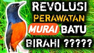 Download lagu SUPER EXPENSIVE!!! THE DRK MURAI BATU VERSION OF THE MURAI BATU mp3