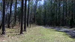 preview picture of video '1345 Adams Rd, Meansville, Ga.  30256'
