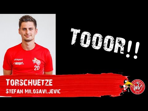 WAHNSINNS TOR!! // Stefan Milosavljevic trifft gegen Slovan HAC